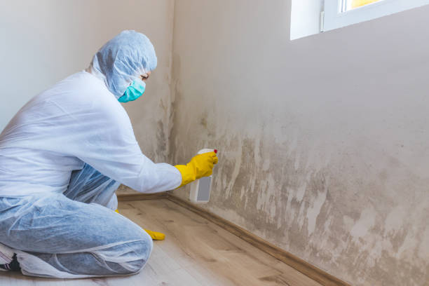 Licensed Crawl Space Mold Removal service in Haledon, NJ - WQB Mold Removal