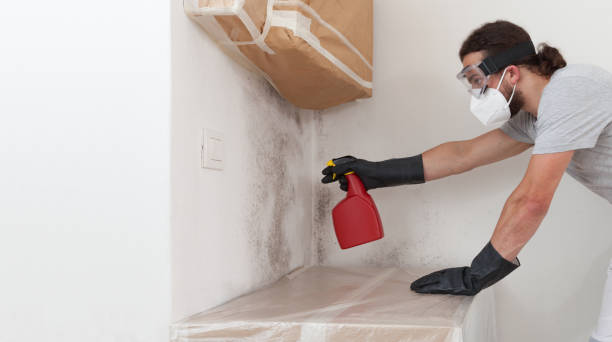 Professional Crawl Space Mold Removal technician working in Haledon, NJ
