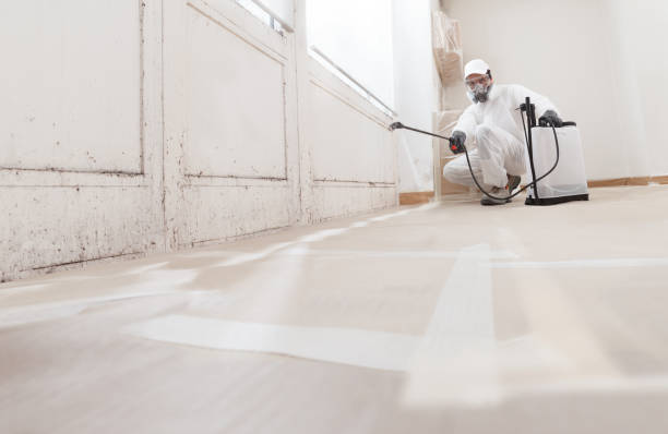 24/7 Emergency Crawl Space Mold Removal experts in Haledon, NJ