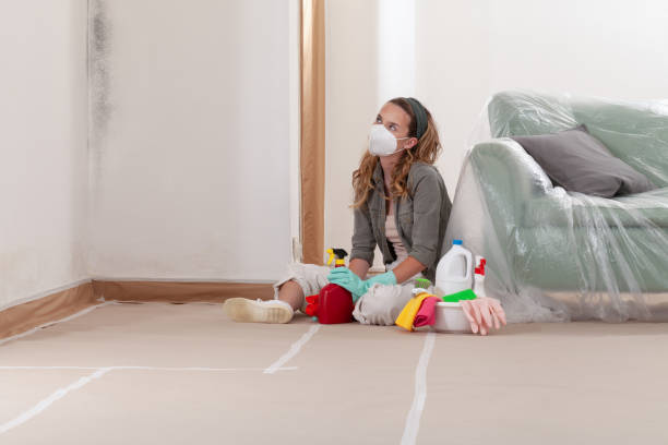 Reliable Crawl Space Mold Removal contractor in Haledon, NJ by WQB Mold Removal