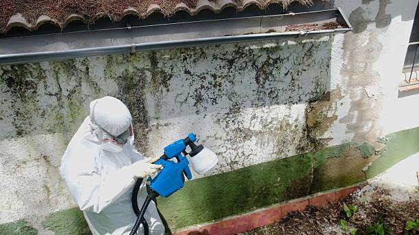Top rated local Crawl Space Mold Removal specialists in Haledon, NJ